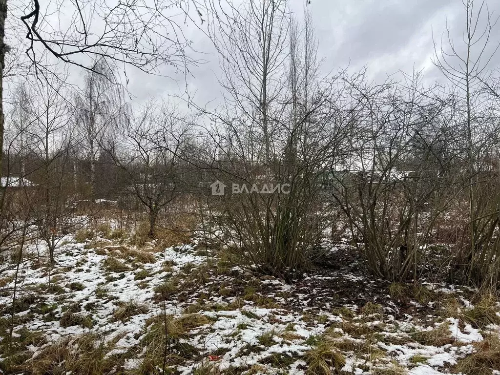 Участок в Санкт-Петербург Имени Я.М. Свердлова СНТ, ул. Северная (4.82 ... - Фото 1