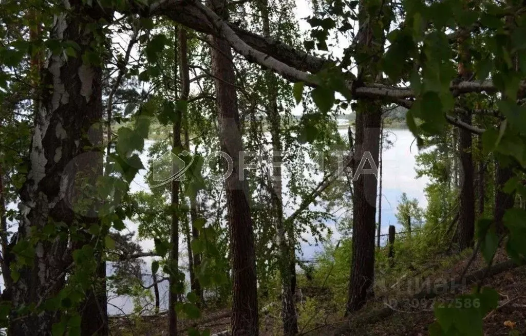 Участок в Тюменская область, Тюменский район, д. Криводанова  (6.0 ... - Фото 1