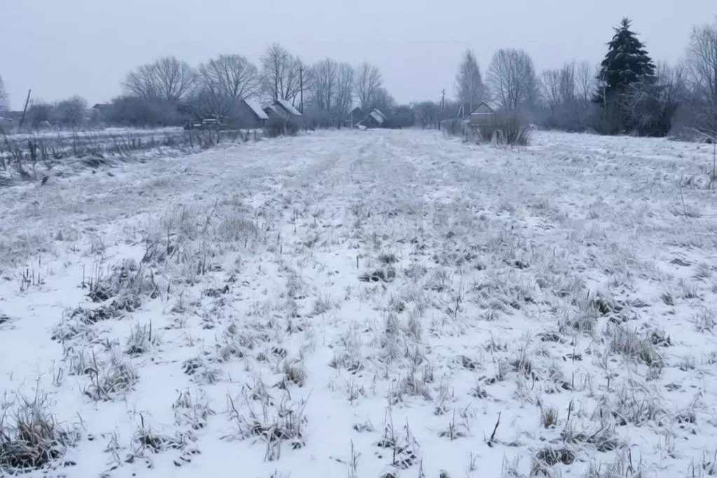 Участок в Ярославская область, Некрасовское рп  (12.0 сот.) - Фото 2