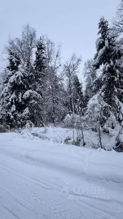 Участок в Московская область, Клин городской округ, Лесной ДСК 664 ... - Фото 2