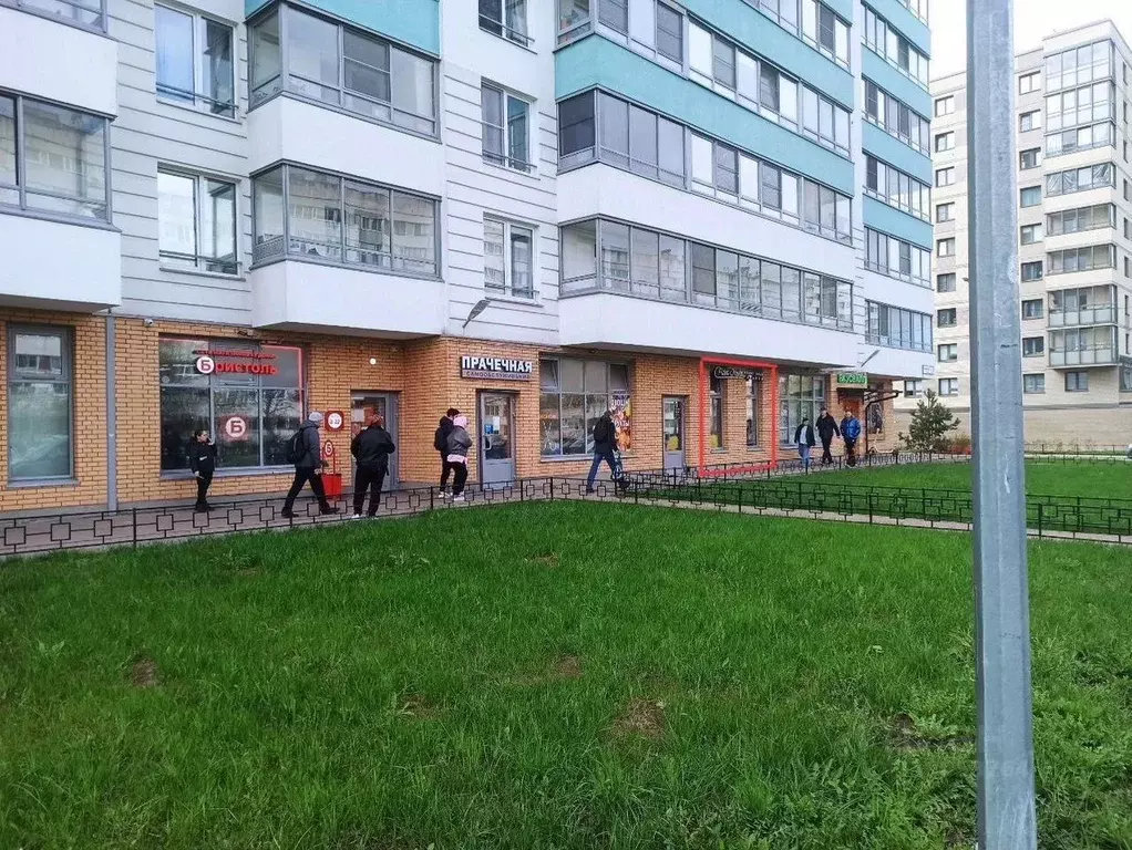 Помещение свободного назначения в Санкт-Петербург ул. Тамбасова, 3к1 ... - Фото 1