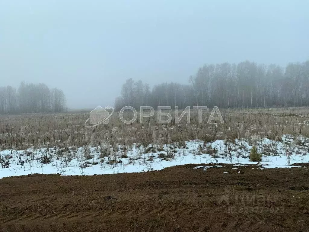 Участок в Тюменская область, Тюменский муниципальный округ, ... - Фото 1