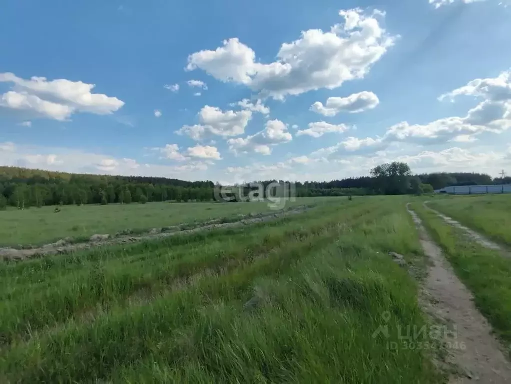 Участок в Тюменская область, Тюменский район, д. Костылева  (11.8 ... - Фото 1