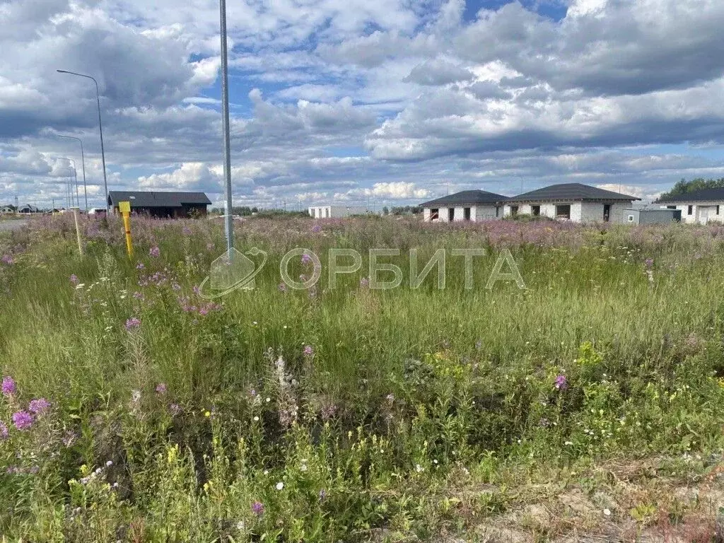 Участок в Тюменская область, Тюменский муниципальный округ, Онегин кп  ... - Фото 2