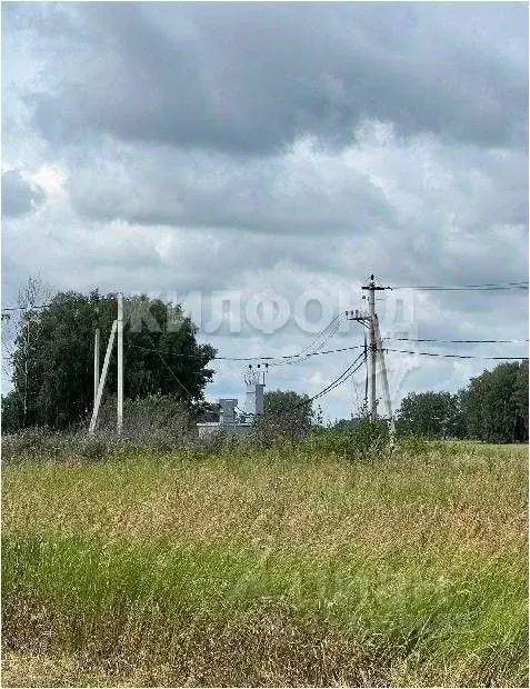 Участок в Новосибирская область, Новосибирский район, Верх-Тулинский ... - Фото 1