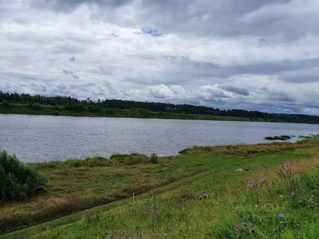 Участок в Тверская область, Калининский муниципальный округ, д. ... - Фото 1