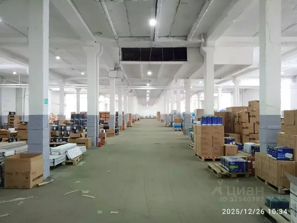 Склад в Московская область, Ногинск Богородский городской округ, ул. ... - Фото 2