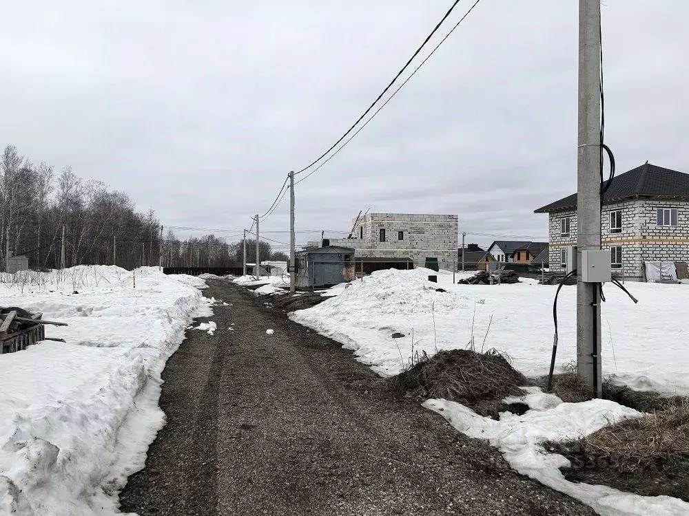 Участок в Новосибирская область, Новосибирский район, Березовский ... - Фото 1