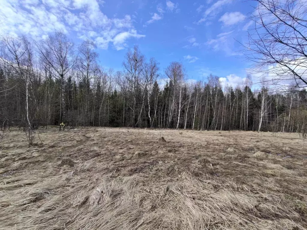 Участок в Тульская область, Заокский район, Малаховское с/пос, д. ... - Фото 1