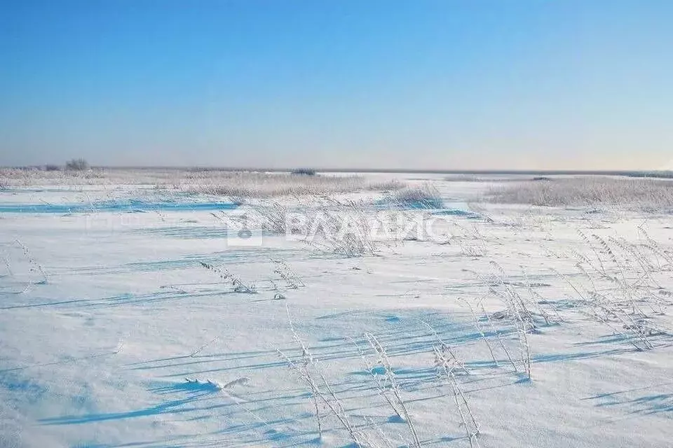 Участок в Бурятия, Кабанский район, с. Сухая  (7.0 сот.) - Фото 1