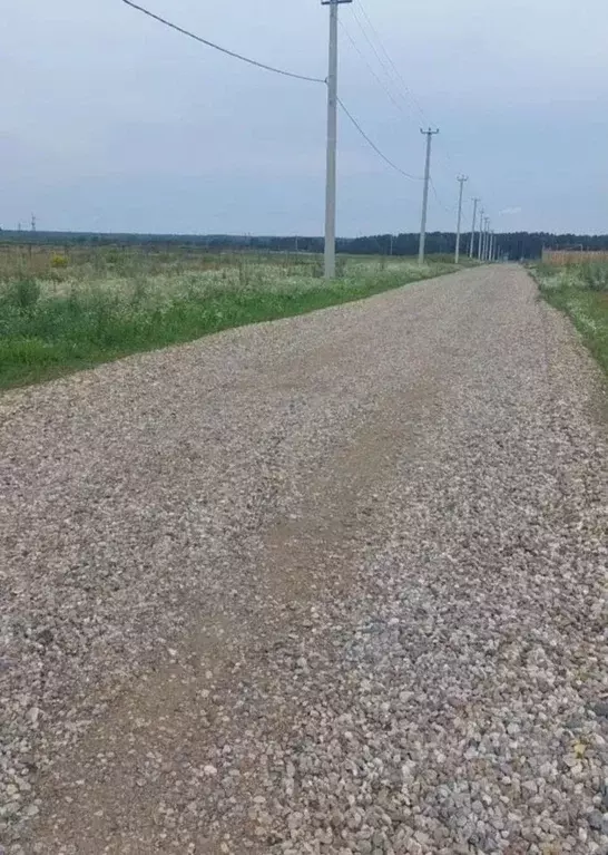 Участок в Брянская область, Брянский район, Новодарковичское с/пос, д. ... - Фото 2