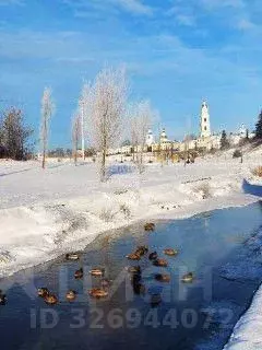 Участок в Нижегородская область, Дивеевский муниципальный округ, с. ... - Фото 2