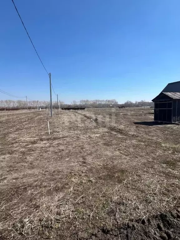 Участок в Новосибирская область, Новосибирский район, Морской ... - Фото 0