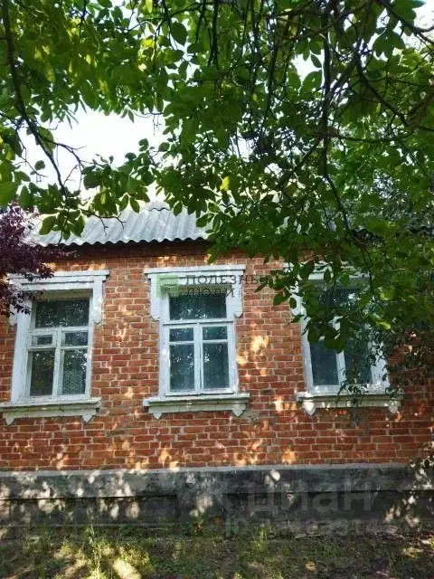Дом в Белгородская область, Шебекинский муниципальный округ, Маслова ... - Фото 1