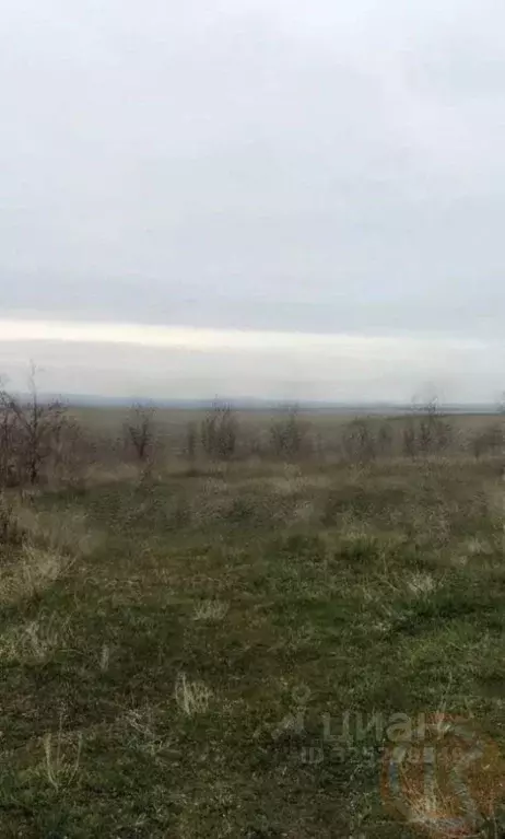 Участок в Крым, Бахчисарайский район, Песчановское с/пос, с. Береговое ... - Фото 1