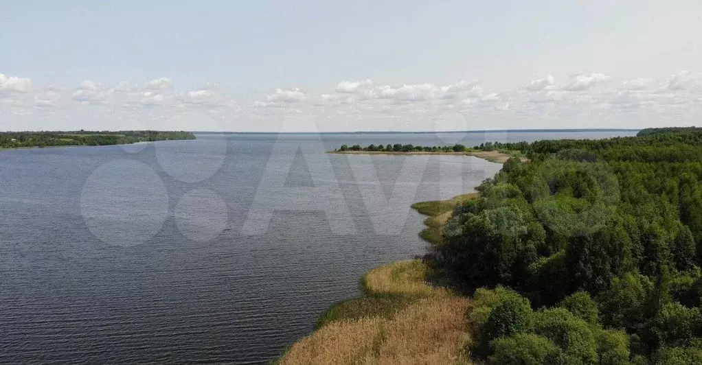 Участок 23 га (СНТ, ДНП) - Фото 0