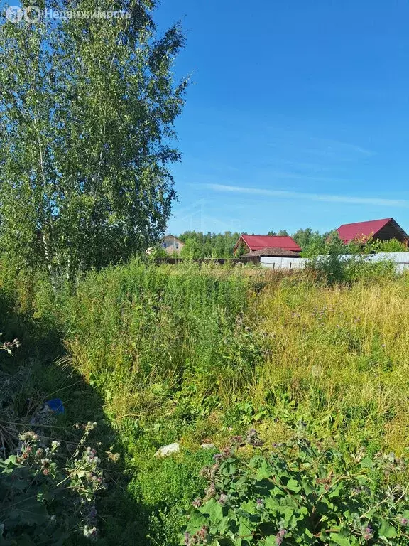 Участок в Московская область, Сергиево-Посадский городской округ, ДНП ... - Фото 1
