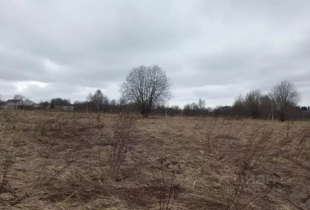 Участок в Московская область, Дмитровский муниципальный округ, д. ... - Фото 0