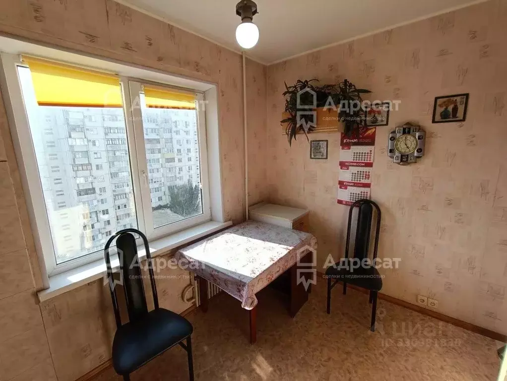 2-к кв. Волгоградская область, Волгоград ул. Богданова, 1/2 (49.5 м) - Фото 2