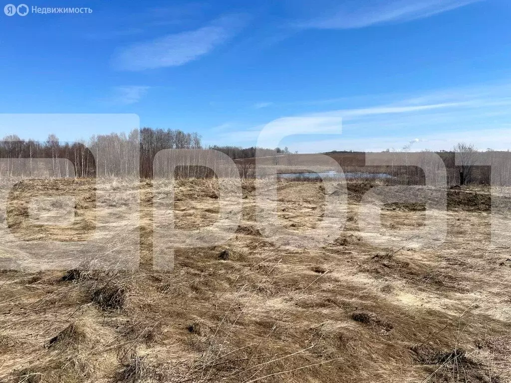 Участок в Нерехтский район, Воскресенское сельское поселение, деревня ... - Фото 1