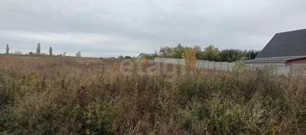 Участок в Белгородская область, Белгородский район, Беловское с/пос, ... - Фото 1