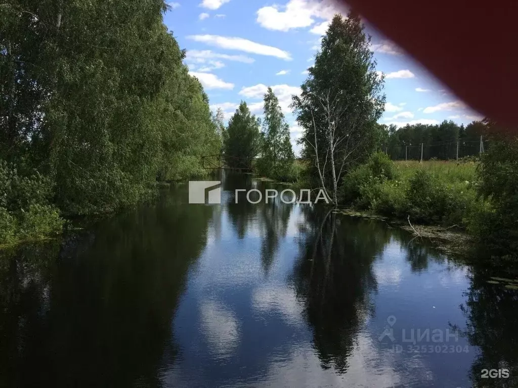 Участок в Новосибирская область, Новосибирский район, Кудряшовский ... - Фото 1
