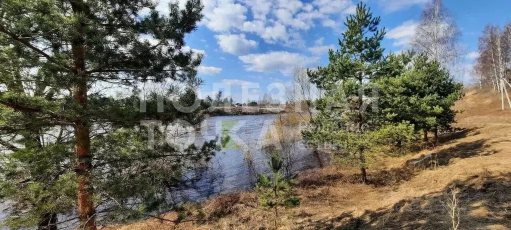 Участок в Новгородская область, Боровичский район, д. Егла Зеленый ... - Фото 1