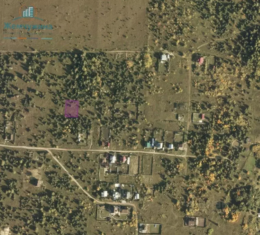 Участок в Ульяновская область, Мелекесский район, Новоселкинское ... - Фото 1