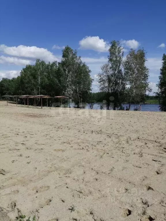 Участок в Тюменская область, Тюменский район, д. Малиновка, Малиновка ... - Фото 1