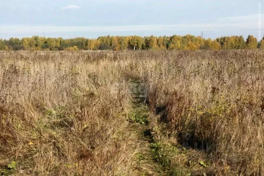 Участок в Алтайский край, Бийск ул. Вячеслава Шишкова (12.5 сот.) - Фото 1