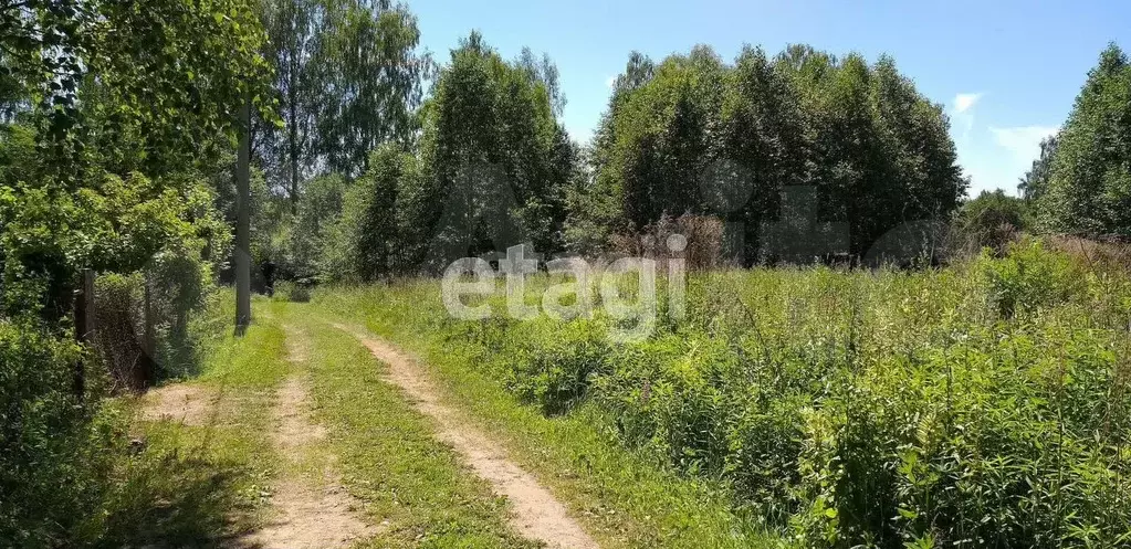 Участок 20 сот. (СНТ, ДНП) - Фото 1