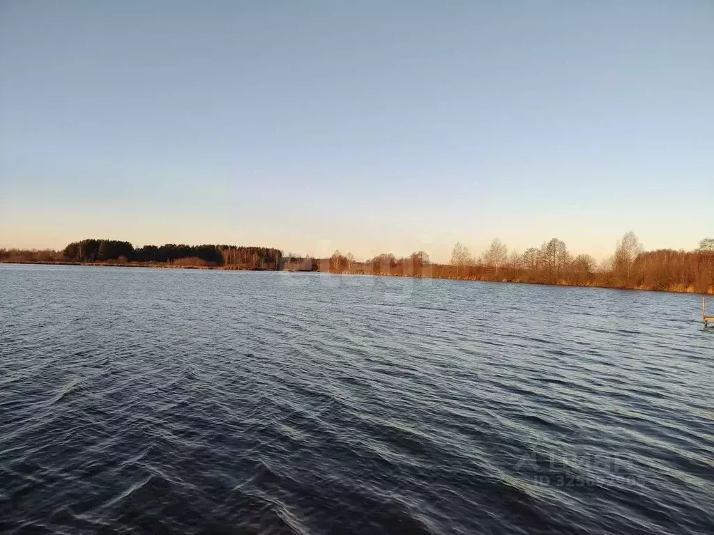 Участок в Нижегородская область, Городецкий муниципальный округ, д. ... - Фото 1