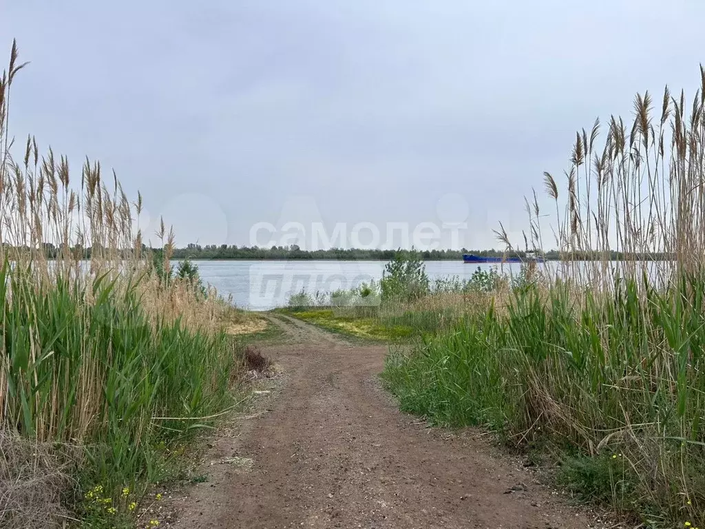 Дача 22,7 м на участке 5 сот. - Фото 0