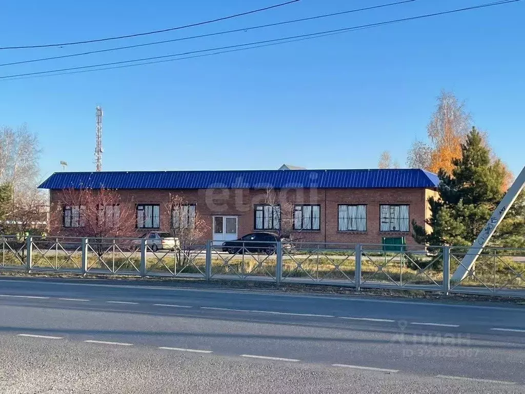 Торговая площадь в Тюменская область, с. Исетское ул. Элеваторная, 7 ... - Фото 1