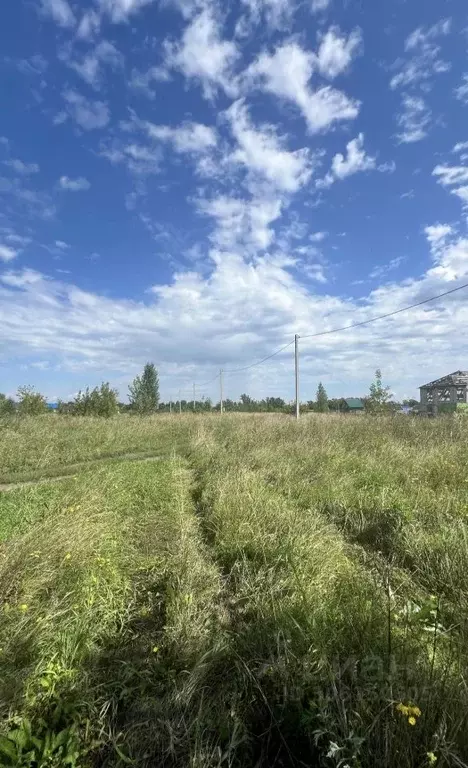 Участок в Алтайский край, Барнаул городской округ, пос. Бельмесево ул. ... - Фото 1