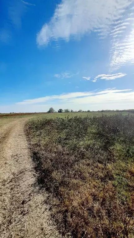 Участок в Астраханская область, Камызякский район, с. Гандурино  ... - Фото 1