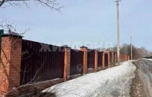 Участок в Новосибирская область, Искитимский район, Морозовский ... - Фото 1