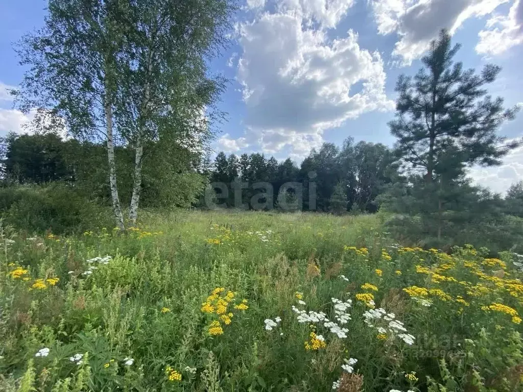 Участок в Владимирская область, Муром д. Макаровка,  (11.0 сот.) - Фото 1