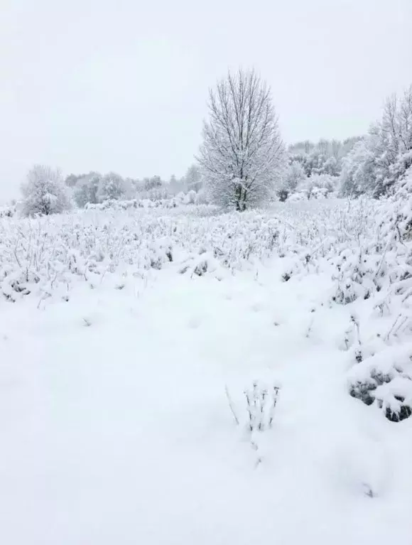 Участок в Ленинградская область, Киришский район, Глажевское с/пос, д. ... - Фото 1