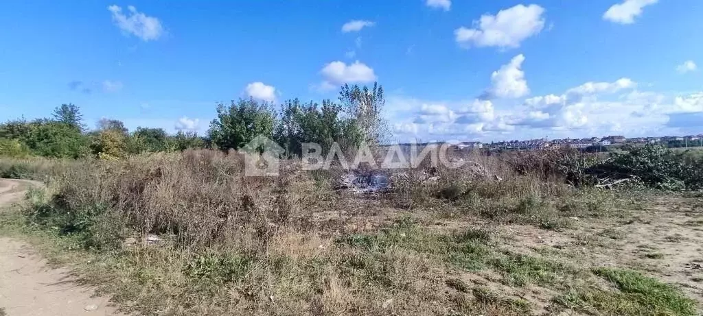 Участок в Владимирская область, Суздальский район, Боголюбовское ... - Фото 0