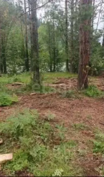 Участок в Алтай, Турочакский район, с. Кебезень Набережная ул., 1Б ... - Фото 1