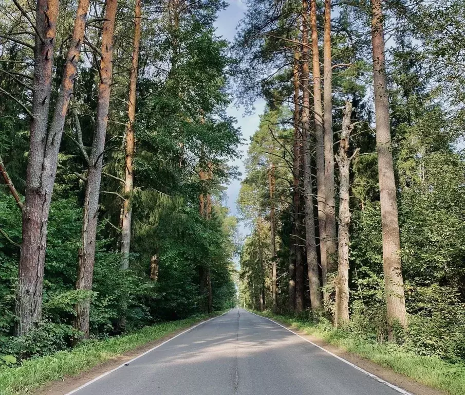 Участок в Московская область, Одинцовский городской округ, д. ... - Фото 2