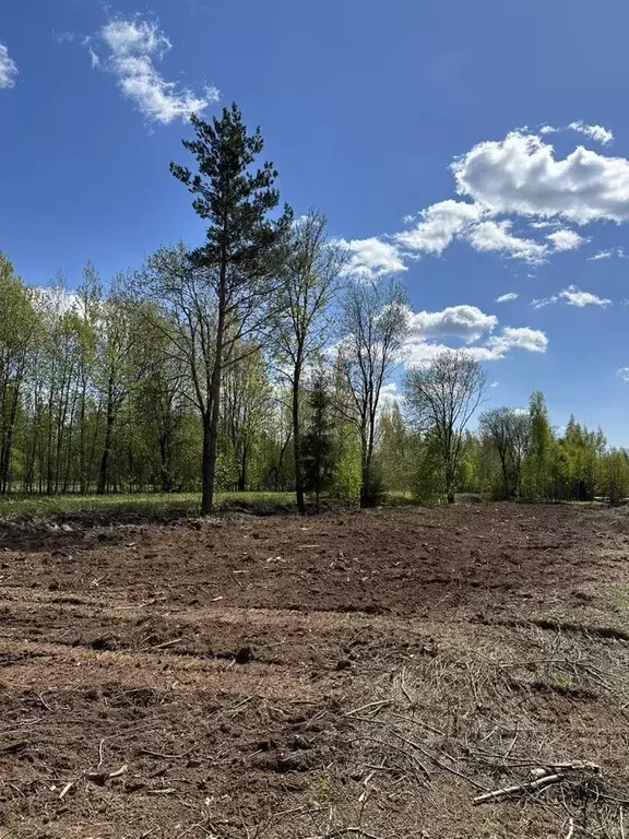 Участок в Новгородская область, Новгородский район, Бронницкое с/пос, ... - Фото 0