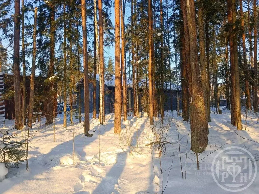 Участок, 12 сот., сельхоз (снт или днп) - Фото 1