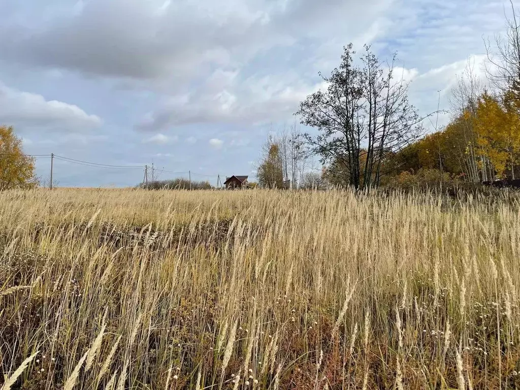 Участок в Московская область, Воскресенск городской округ, с. Карпово ... - Фото 0