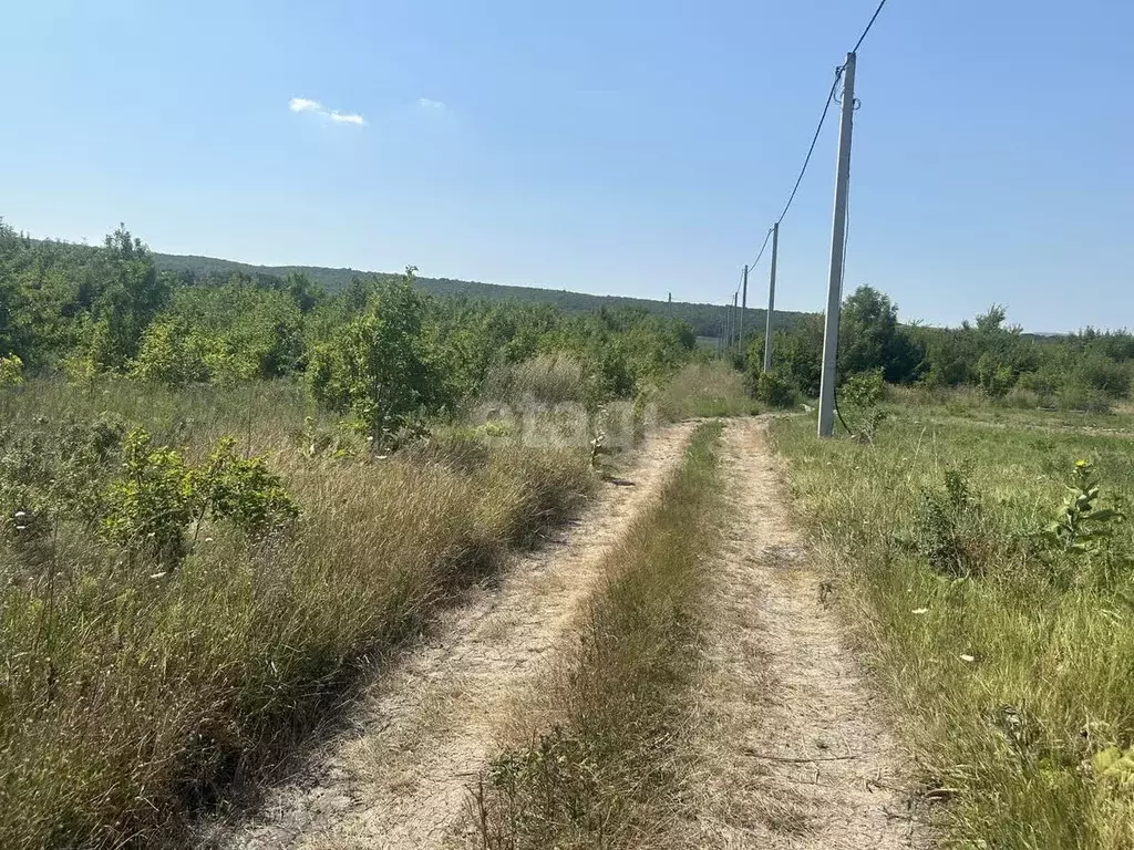 Участок в Краснодарский край, Новороссийск муниципальное образование, ... - Фото 1