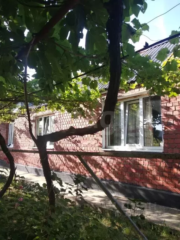 Дом в Краснодарский край, Геленджик городской округ, с. ... - Фото 1