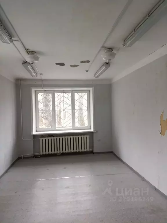 Помещение свободного назначения в Хабаровский край, ... - Фото 1