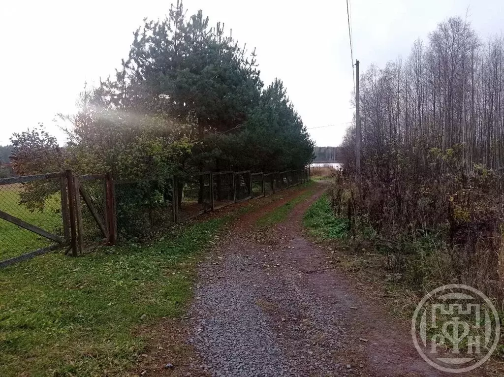 Участок в Ромашки, коттеджный посёлок Особый статус — Ромашки (25 м) - Фото 2