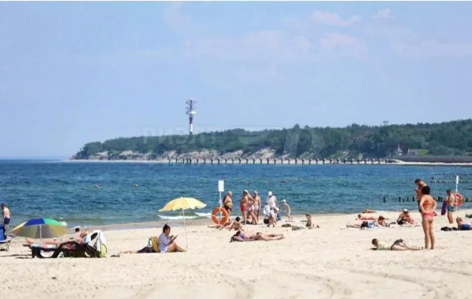 1-к кв. Калининградская область, Пионерский Рабочая ул., 48 (30.0 м) - Фото 1